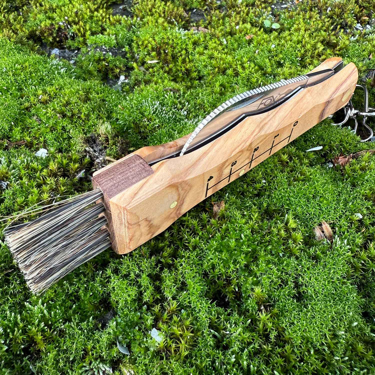 Fox Knives Funghi Olive – Praktisches Pilzmesser mit Bürste und Pinzette