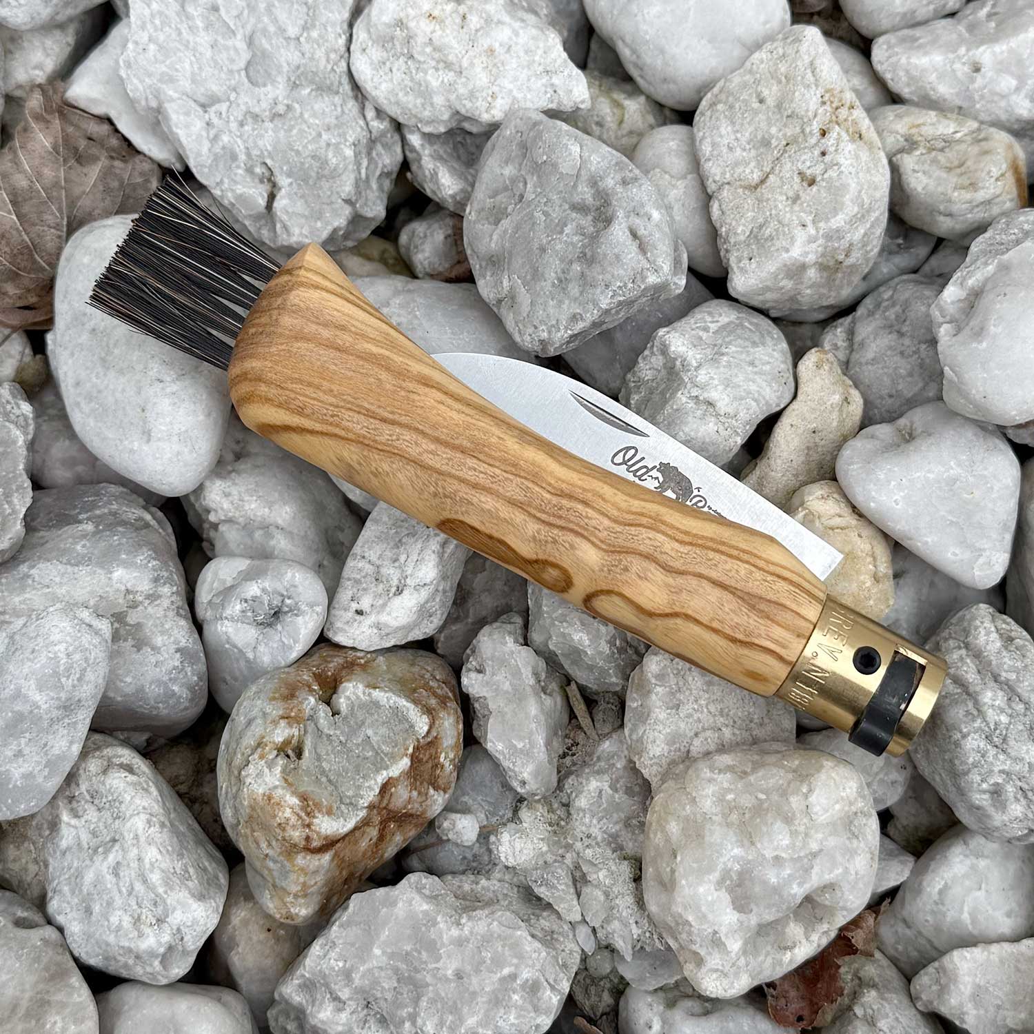 Old Bear Mushroom - Pilzmesser mit Holzgriff und Bürste aus Rosshaar – Detailansicht