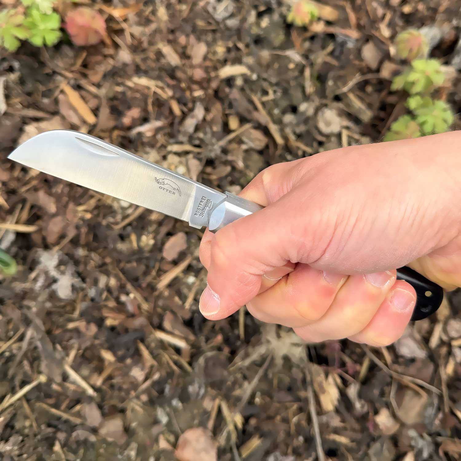 Otter Ankermesser Grenadill groß – Taschenmesser mit 80 mm Sheepfoot-Klinge