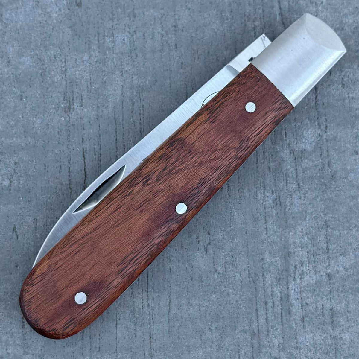 Otter Klassik Taschenmesser Groß – Carbonstahl und Sapeliholzgriff – Detailansicht
