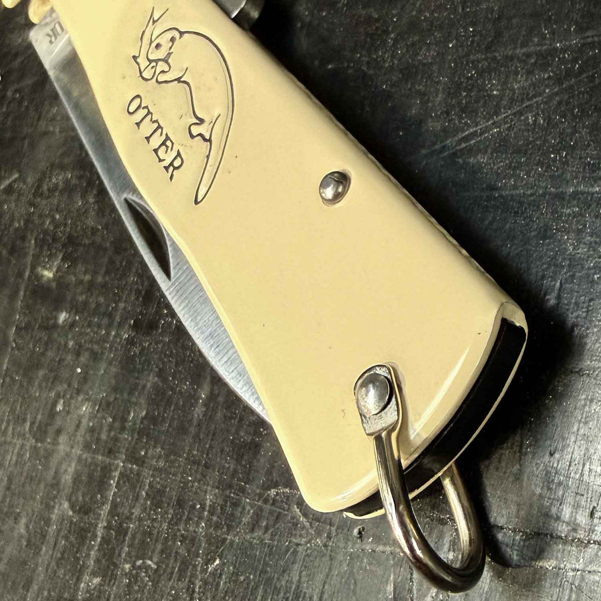 Otter Mercator Creme Taschenmesser (10-126 rg) – C75 Kohlenstoffstahl – Detailansicht
