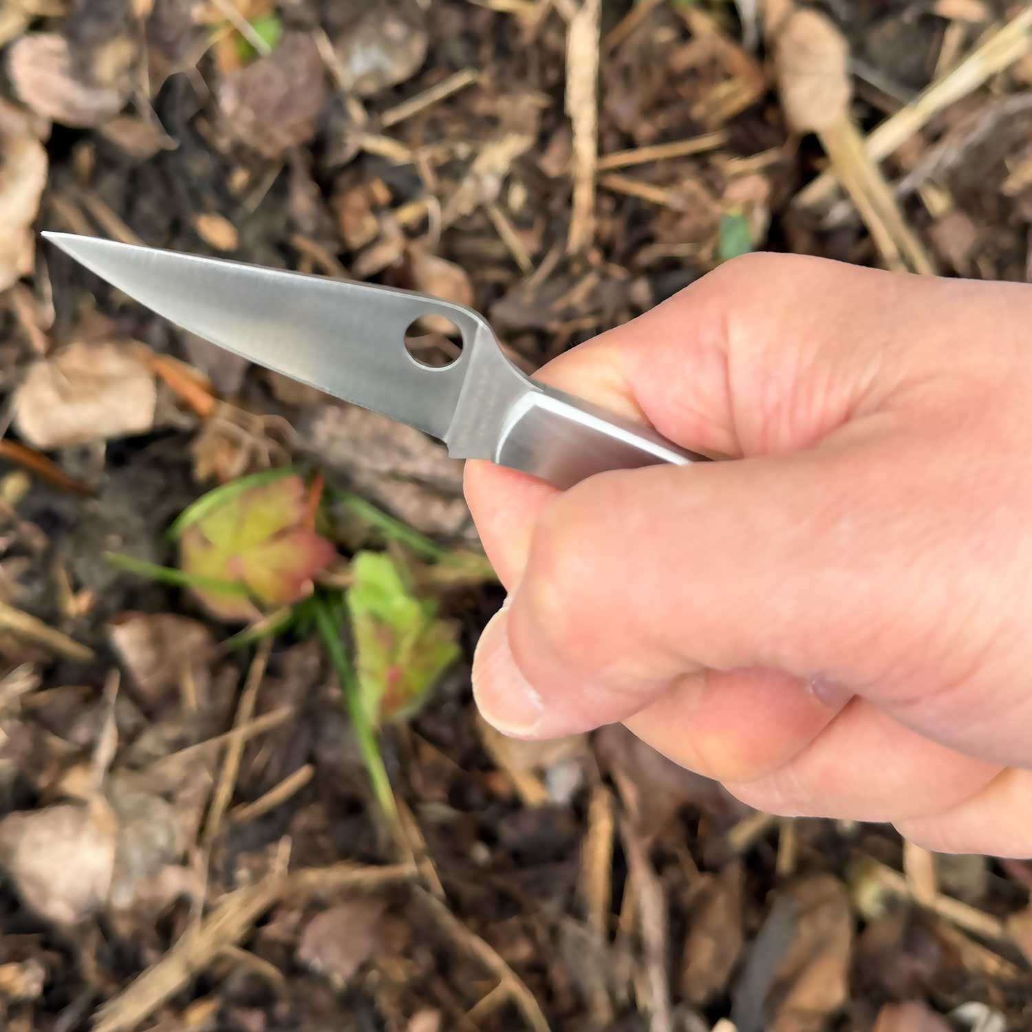 Spyderco Grasshopper – kompaktes EDC Taschenmesser aus Edelstahl – Detailansicht