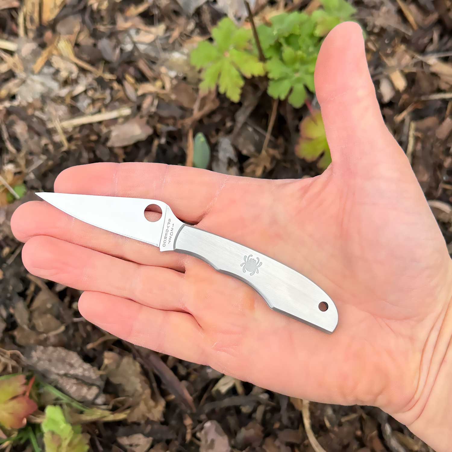 Spyderco Grasshopper – kompaktes EDC Taschenmesser aus Edelstahl