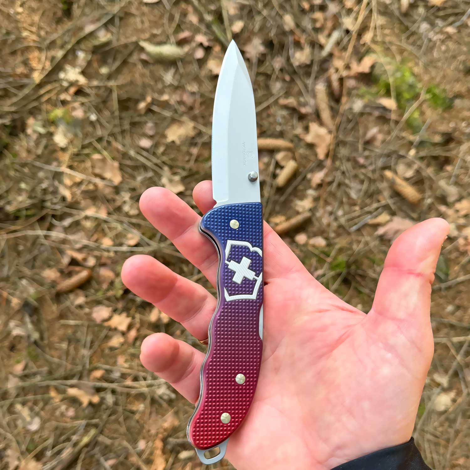 Victorinox Evoke BSH Alox - robustes Schweizer Taschenmesser – Größenvergleich in der Hand – Detailansicht 6