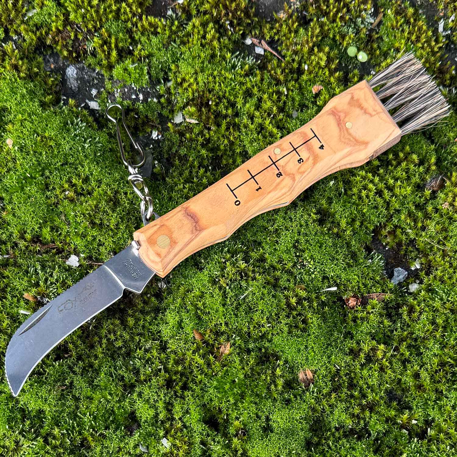 Fox Knives Funghi Olive – Praktisches Pilzmesser mit Bürste und Pinzette – Detailansicht