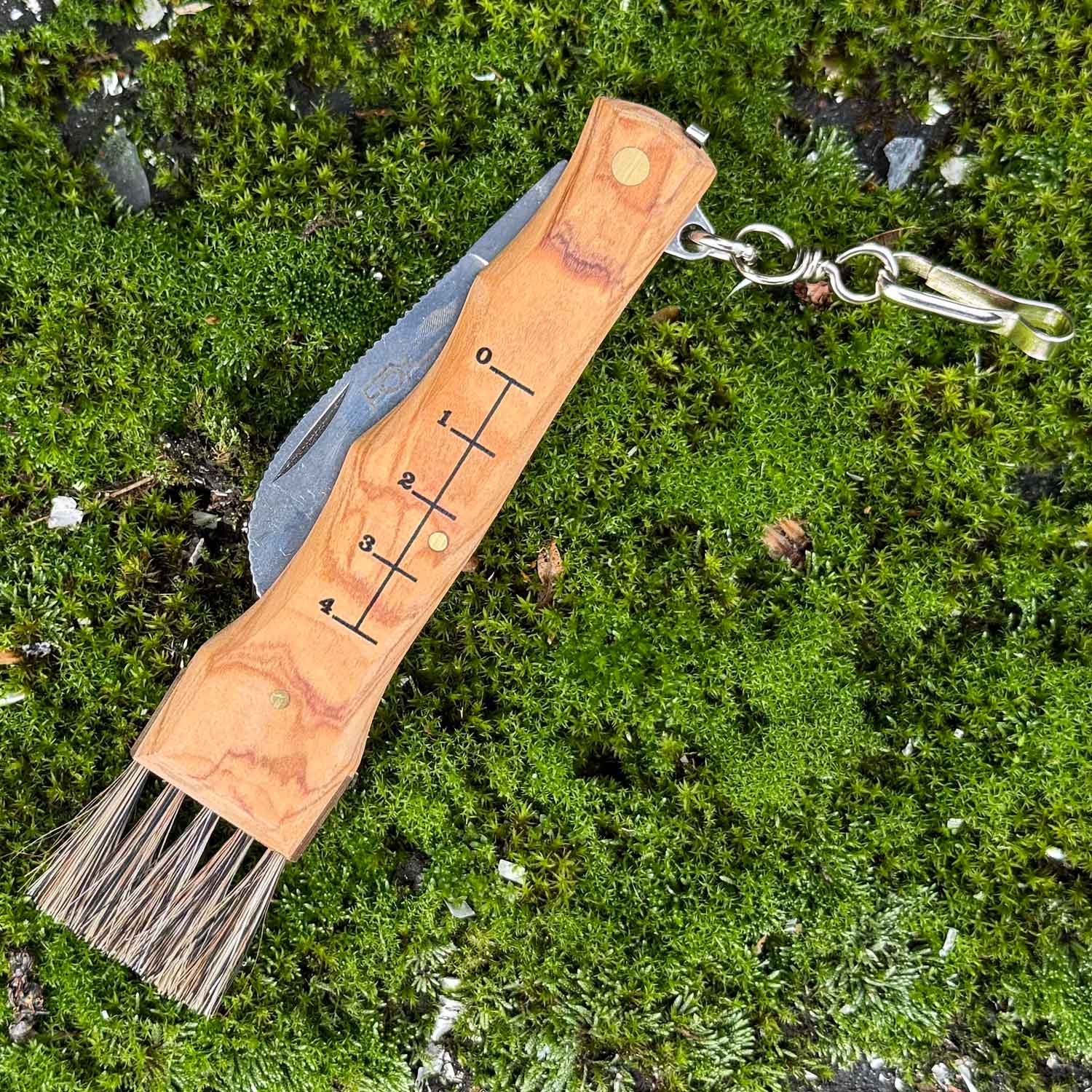 Fox Knives Funghi Olive – Praktisches Pilzmesser mit Bürste und Pinzette – Detailansicht
