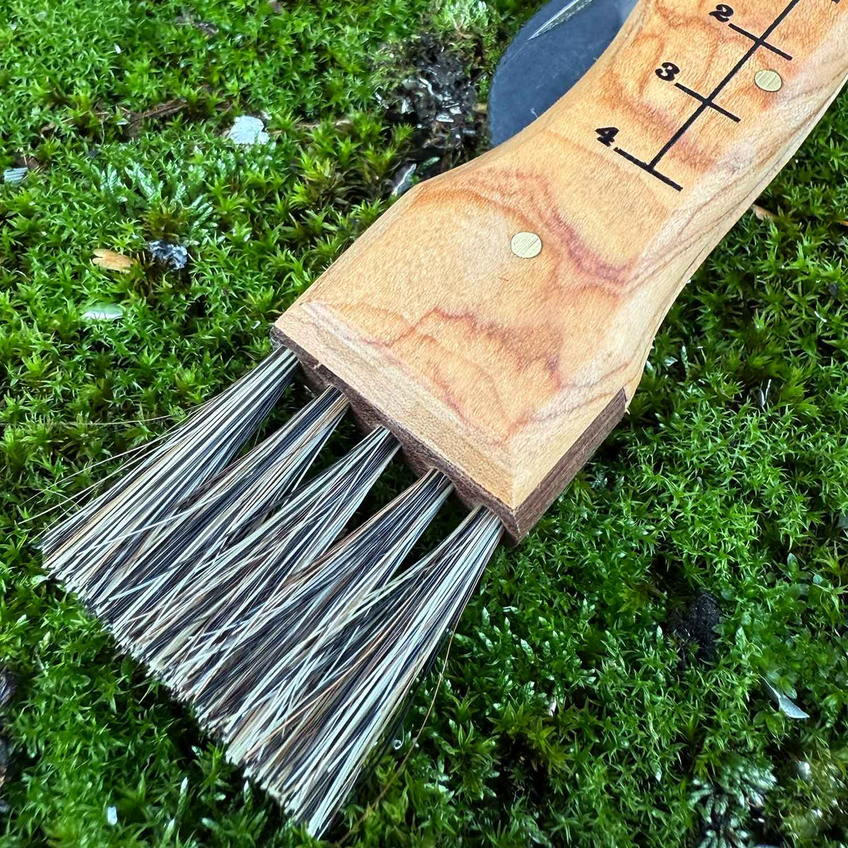 Fox Knives Funghi Olive – Praktisches Pilzmesser mit Bürste und Pinzette – Detailansicht