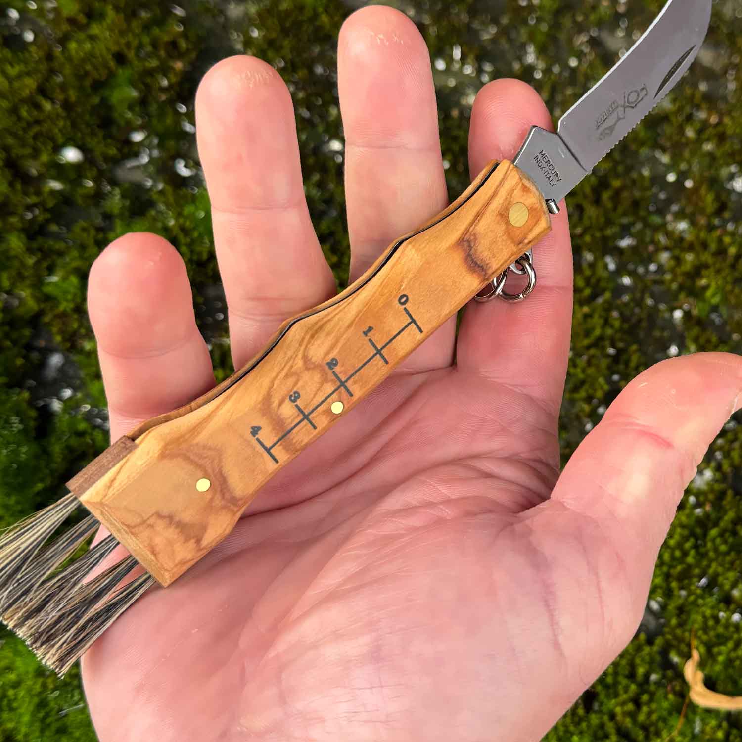 Fox Knives Funghi Olive – Praktisches Pilzmesser mit Bürste und Pinzette – Detailansicht