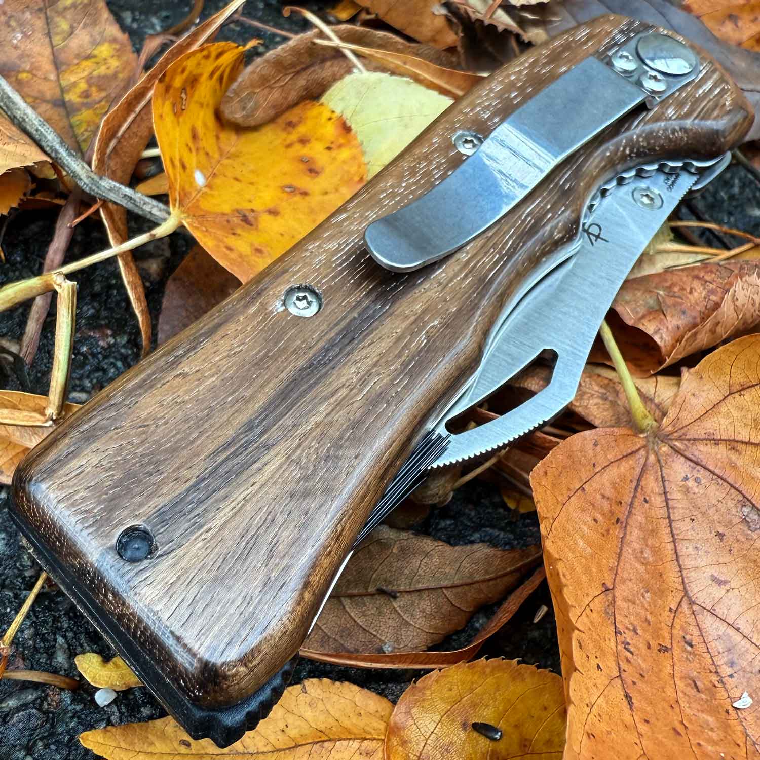 Fox Knives Spora Eucaliptus Wood – Edles Pilzmesser mit Bürste & Holzgriff – Detailansicht