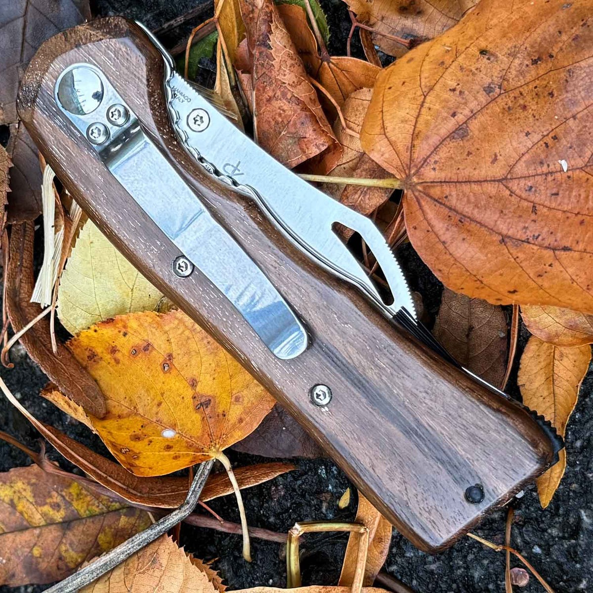 Fox Knives Spora Eucaliptus Wood – Edles Pilzmesser mit Bürste & Holzgriff – Detailansicht