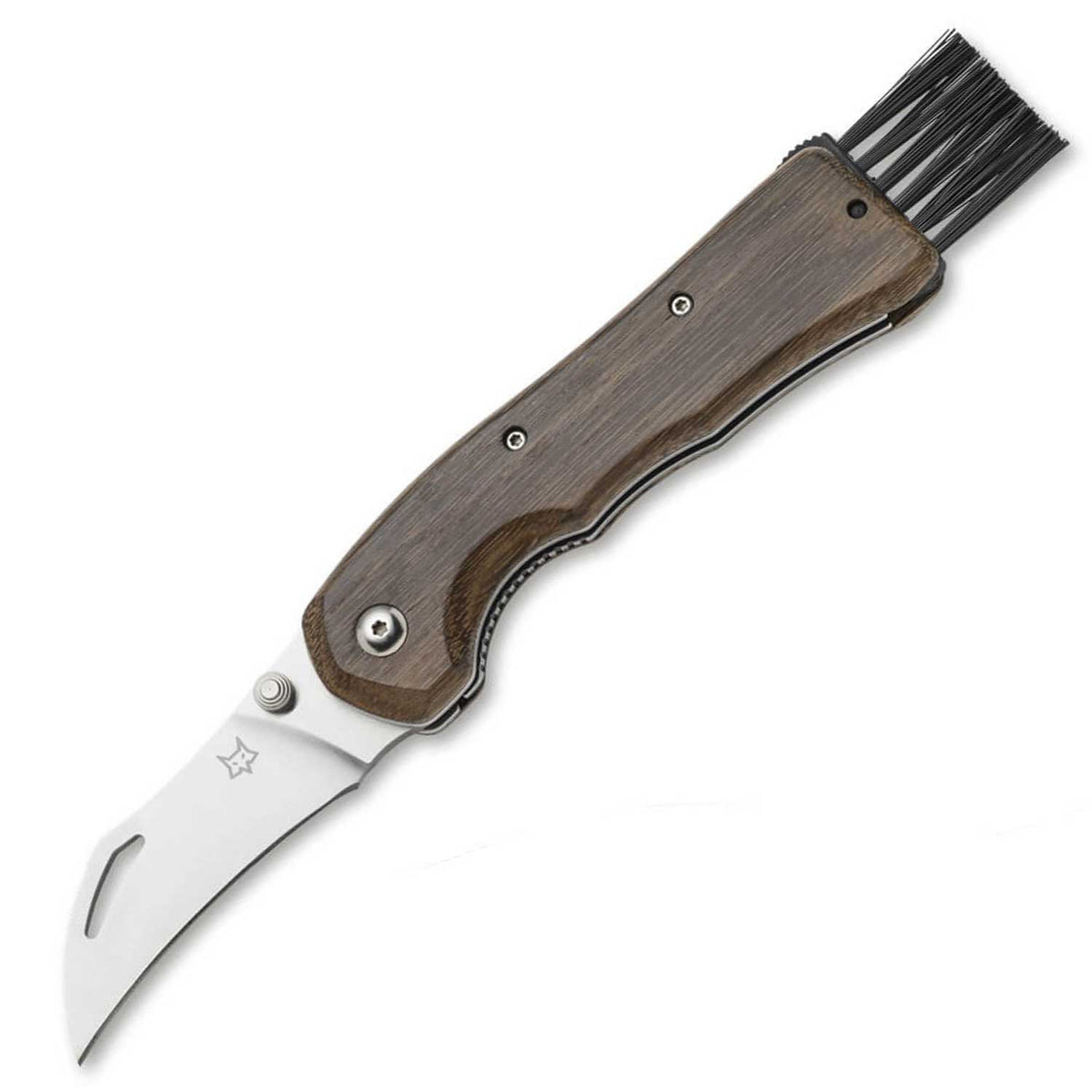 Fox Knives Spora Eucaliptus Wood – Edles Pilzmesser mit Bürste & Holzgriff – Detailansicht