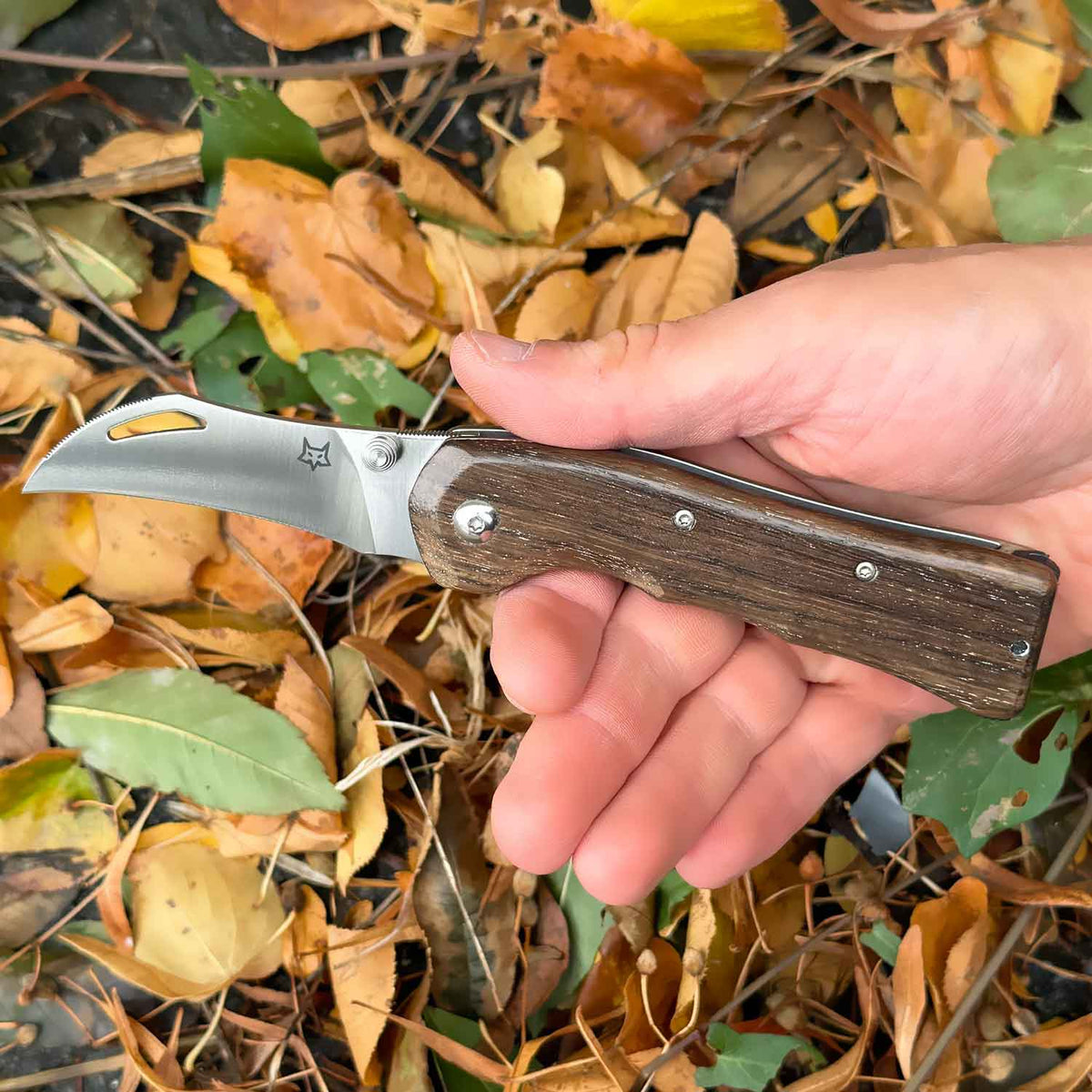Fox Knives Spora Eucaliptus Wood – Edles Pilzmesser mit Bürste & Holzgriff