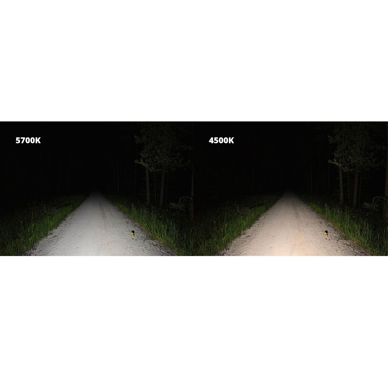 Lupine Penta Pro 4500K – 1400 Lumen Stirnlampe mit 3.5 Ah Akku (Modell 2025) – Detailansicht