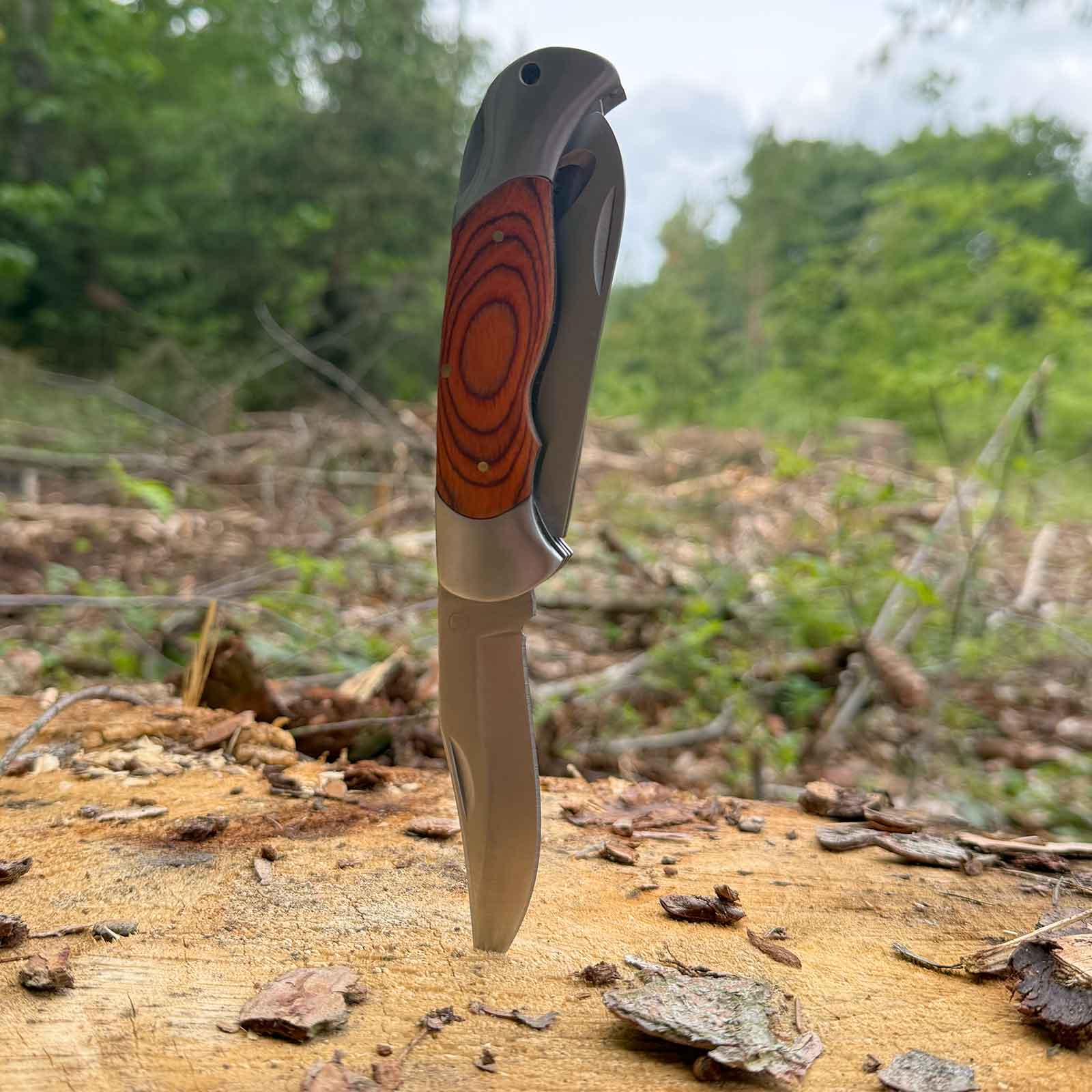 Magnum Classic Hunter – Jagdtaschenmesser mit Aufbrechklinge und Säge – Messeransicht