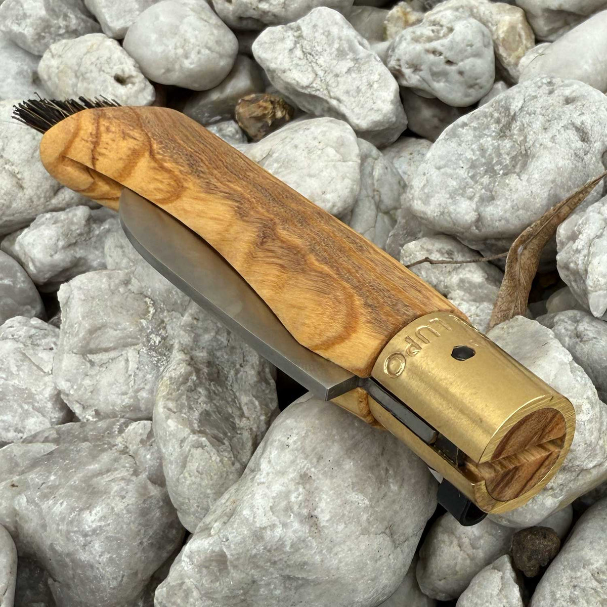Old Bear Mushroom - Pilzmesser mit Holzgriff und Bürste aus Rosshaar – Detailansicht