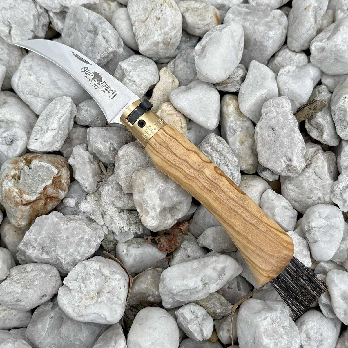 Old Bear Mushroom - Pilzmesser mit Holzgriff und Bürste aus Rosshaar – Detailansicht