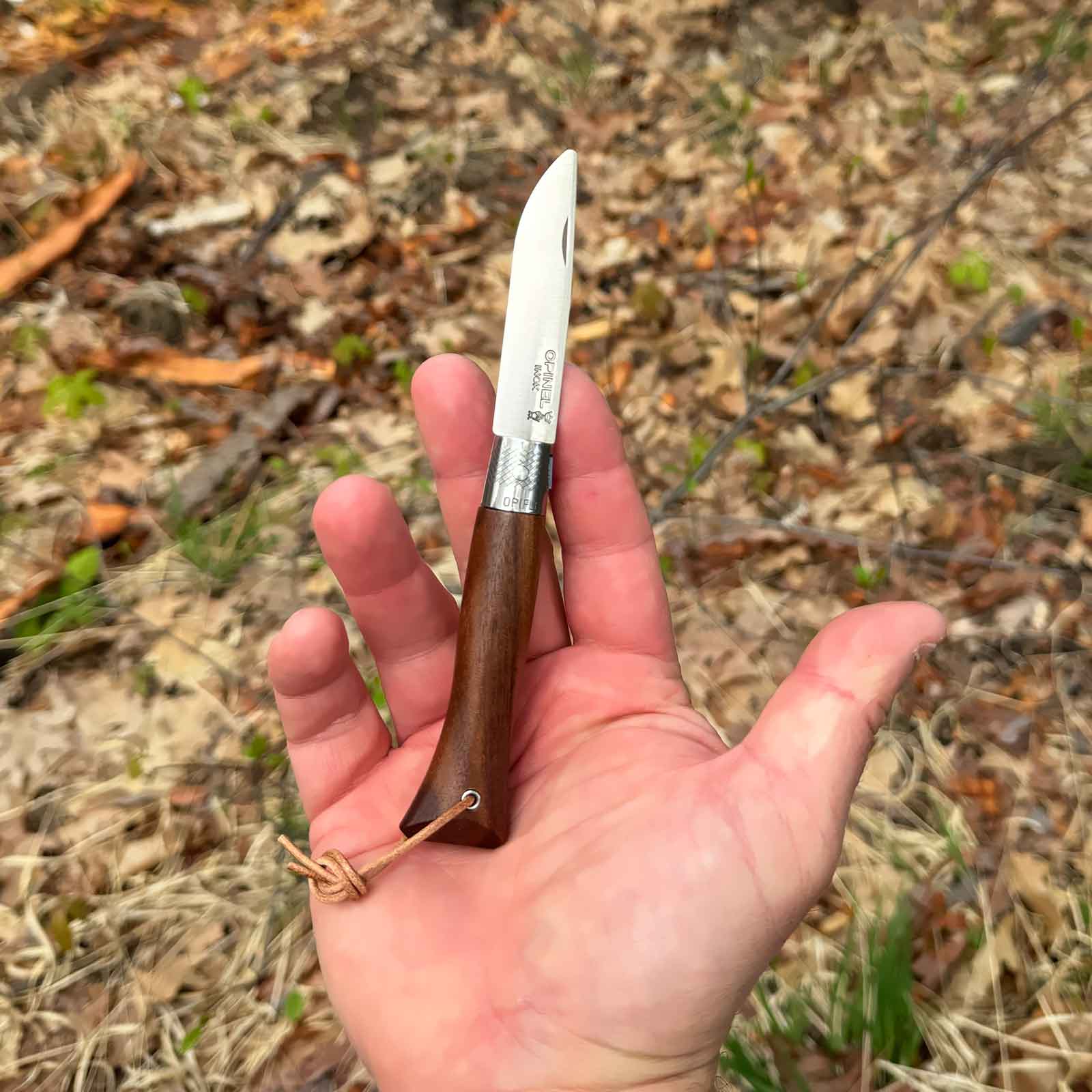 Opinel Neo6 Opiflex – französisches Taschenmesser mit Holzgriff in 3 Varianten – Detailansicht