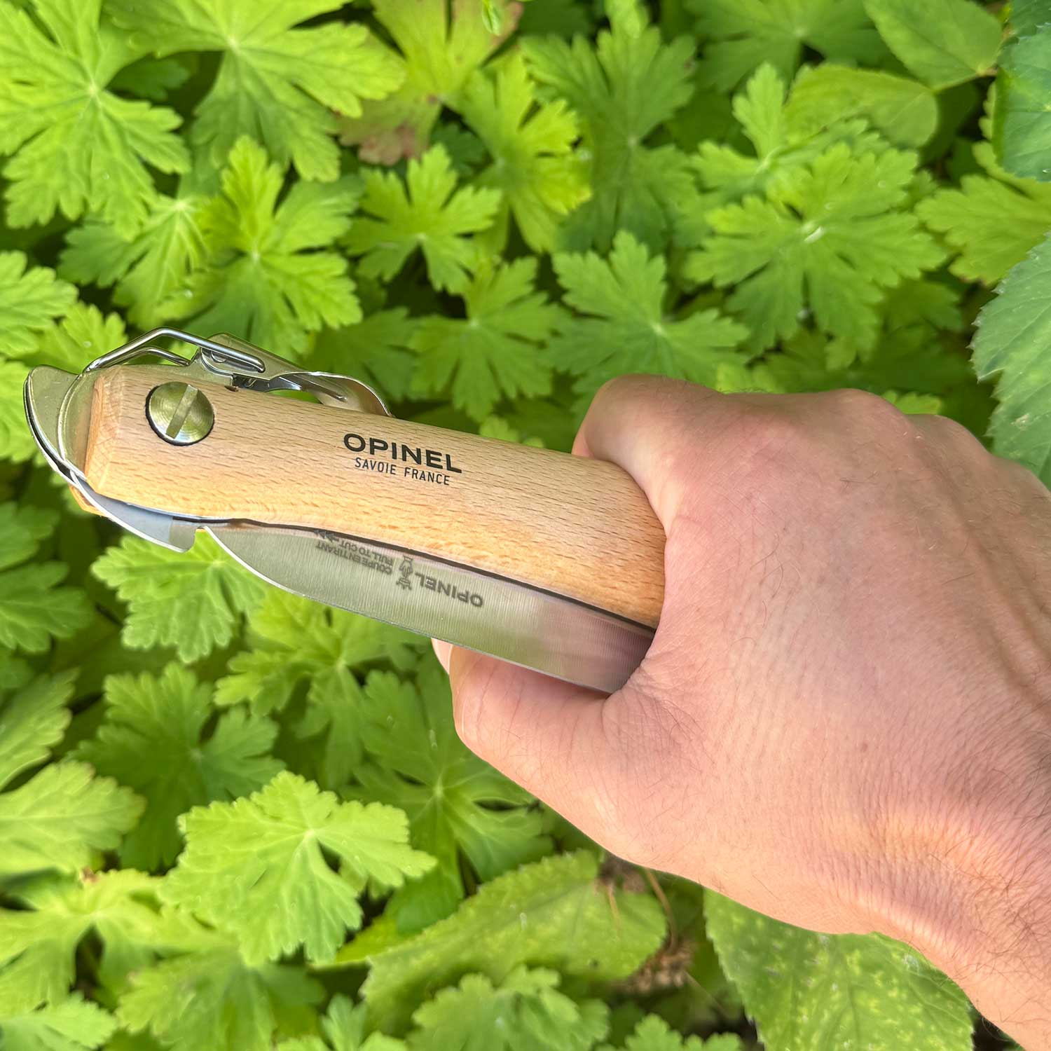 Opinel No 18 – Robuste Outdoor-Klappsäge mit Buchenholzgriff 42 cm – Detailansicht