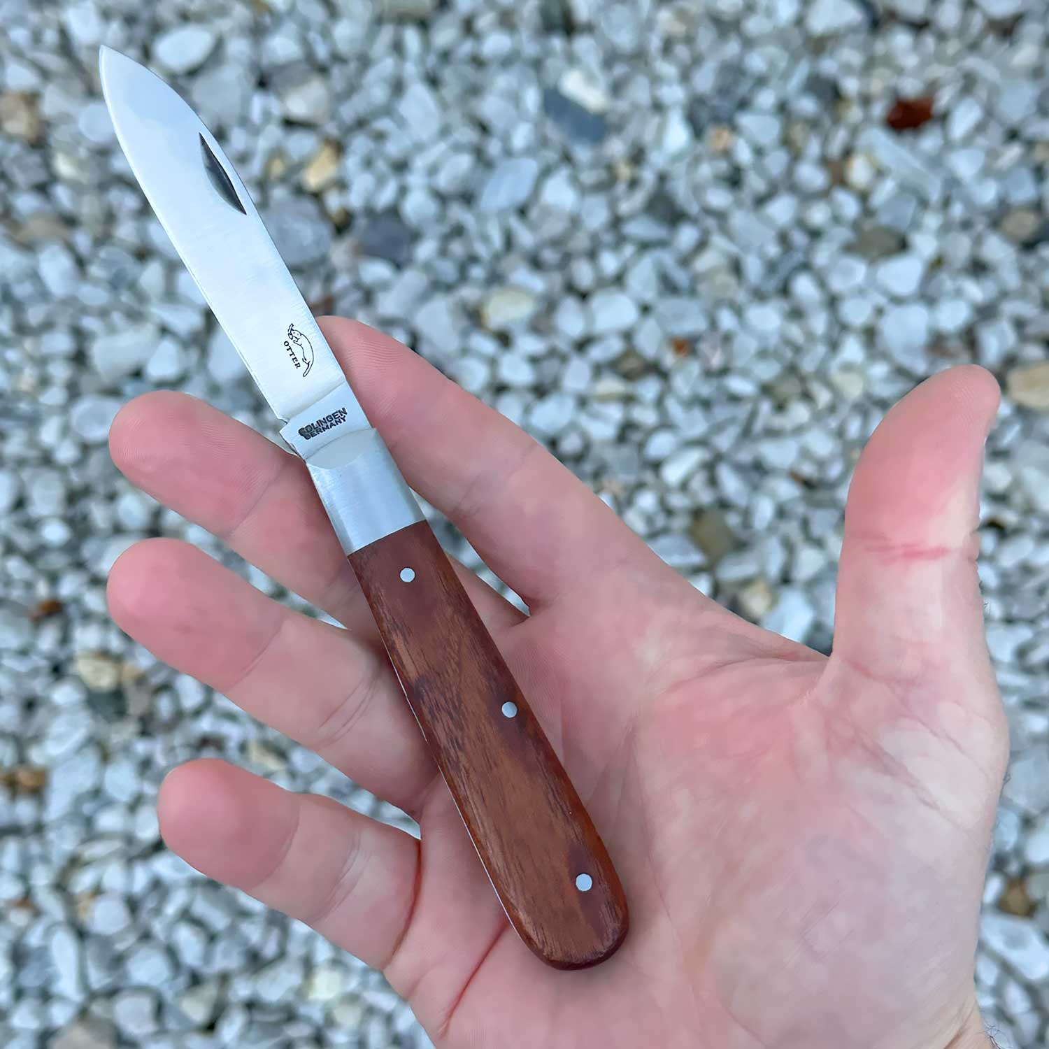 Otter Klassik Taschenmesser Groß – Carbonstahl und Sapeliholzgriff – Detailansicht
