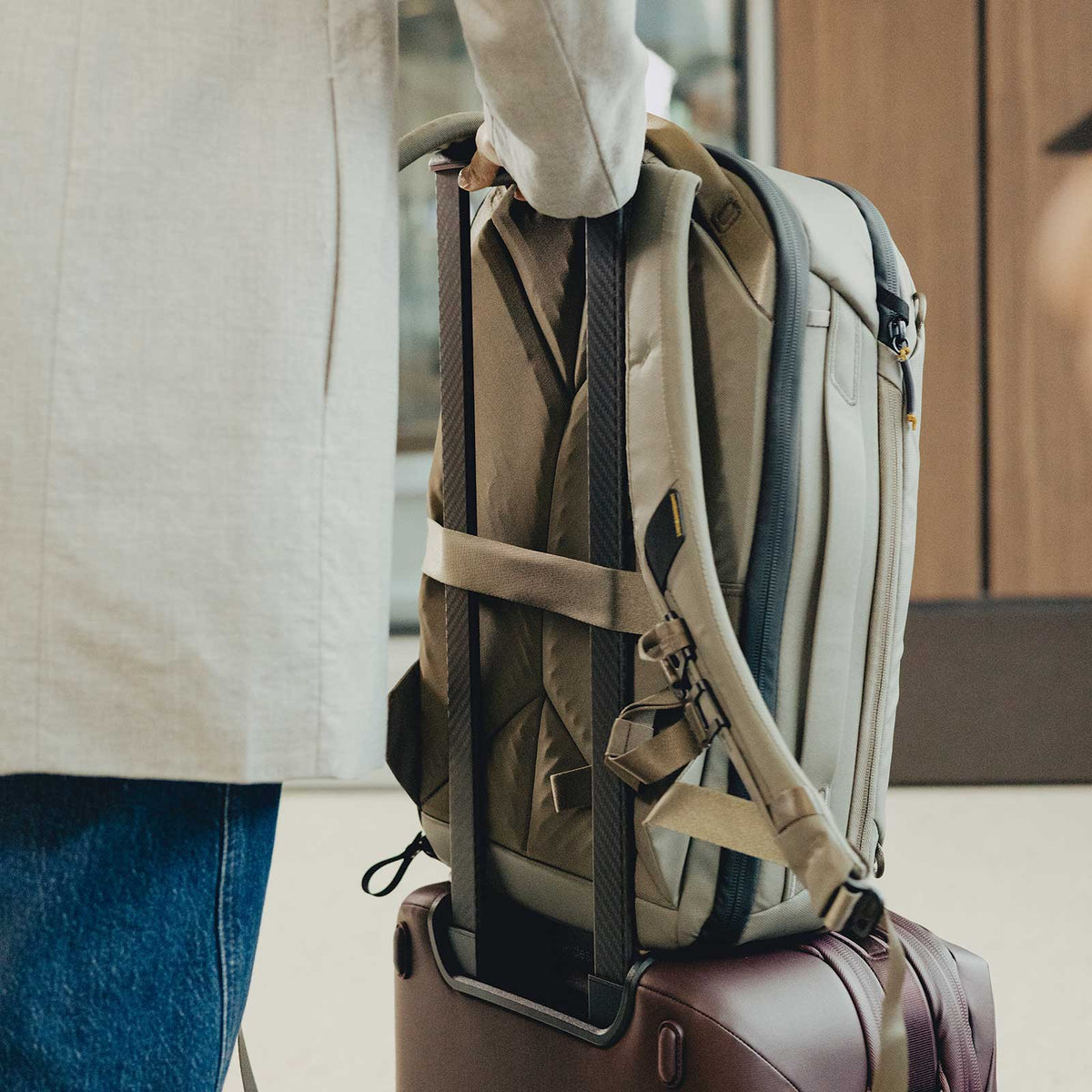Peak Design Travel Backpack 20L – Reiserucksack & Daypack – Rückansicht