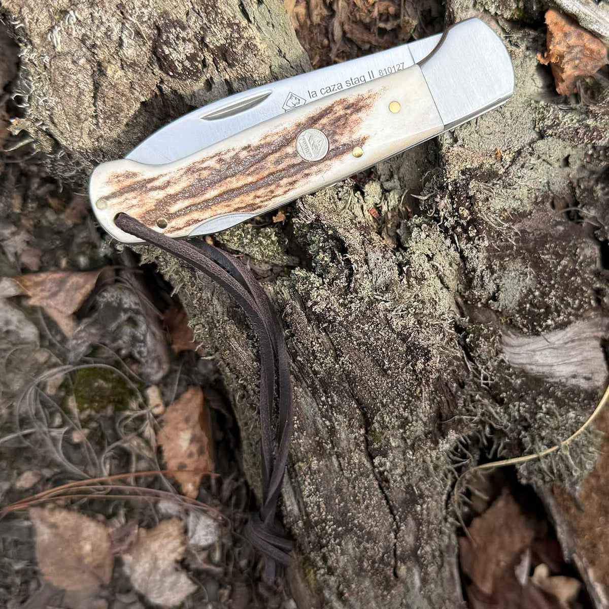 PUMA IP la caza stag II – Jagd-Taschenmesser mit Aufbrechklinge & Hirschhorngriff – Produktansicht des Messers