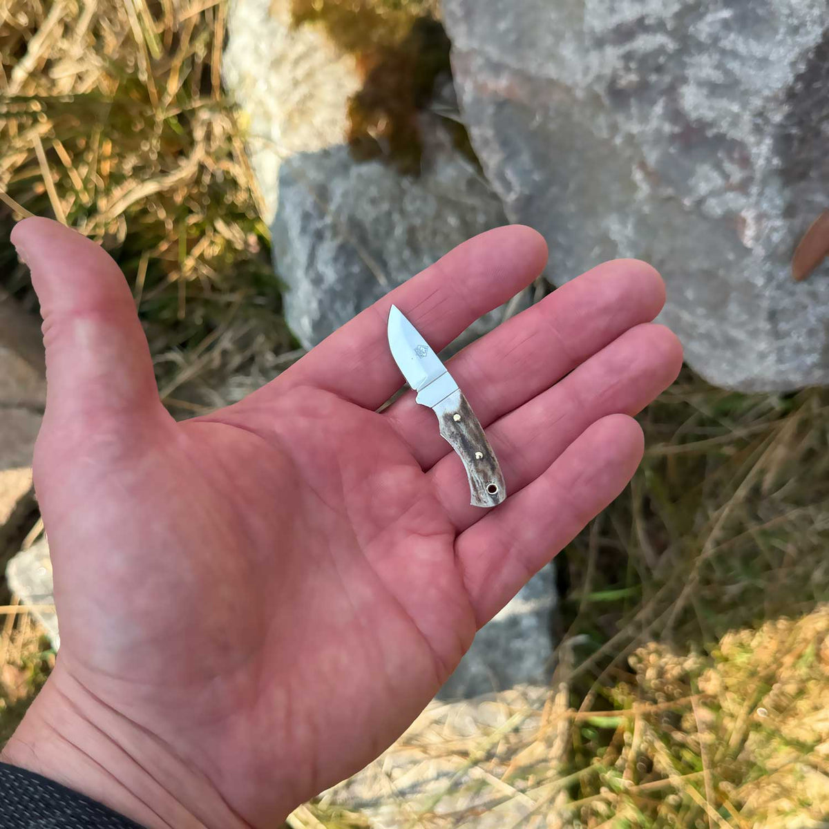 PUMA Mini Skinmaster Hirschorn - Miniatur Sammlermesser – Detailansicht