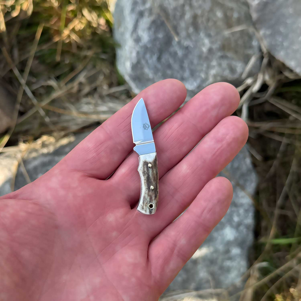 PUMA Mini Skinmaster Hirschorn - Miniatur Sammlermesser – Detailansicht