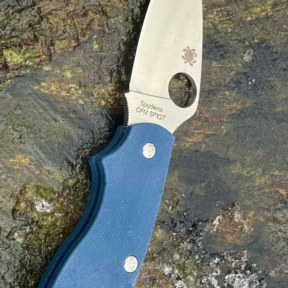 Spyderco UK Penknife Cobalt Blue G10 CPM-SPY27 PlainEdge Taschenmesser mit Clip – Detailansicht