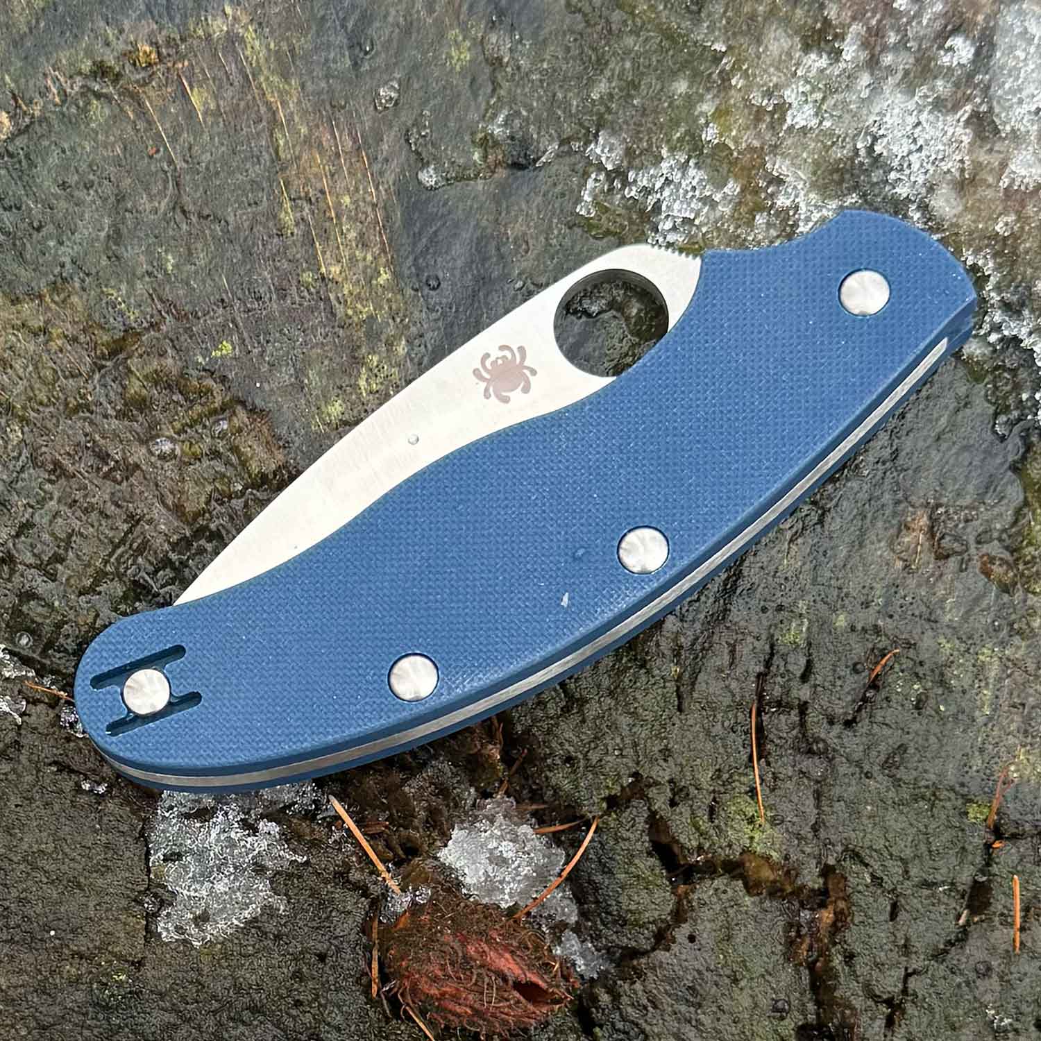 Spyderco UK Penknife Cobalt Blue G10 CPM-SPY27 PlainEdge Taschenmesser mit Clip – Detailansicht
