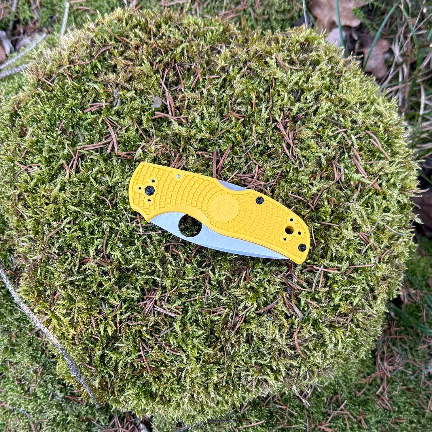 Spyderco Native 5 Salt Yellow MagnaCut – Taschenmesser mit Backlock & Clip – Detailansicht